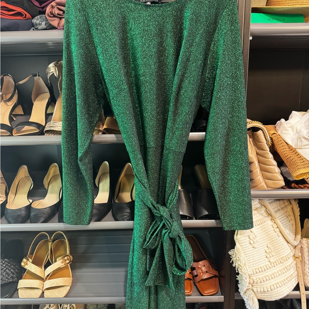 Like New! Eloquii Shimmering Green Long Sleeve Dress
